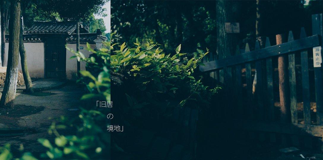 时尚太阳眼镜